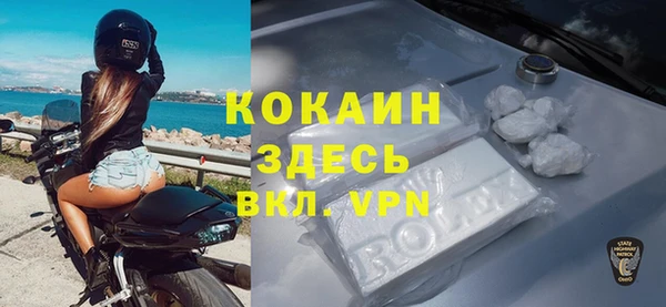 твердый Богданович