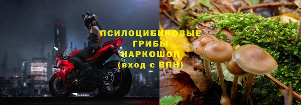 твердый Богданович